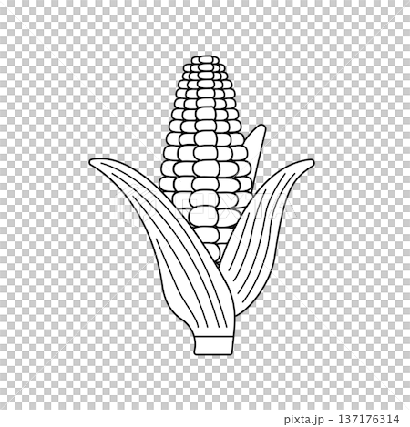 玉米的簡單線條單色插圖 137176314