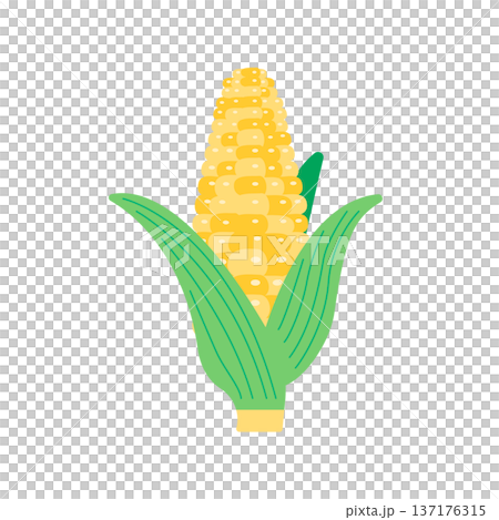 沒有主線的扁平玉米插圖 137176315