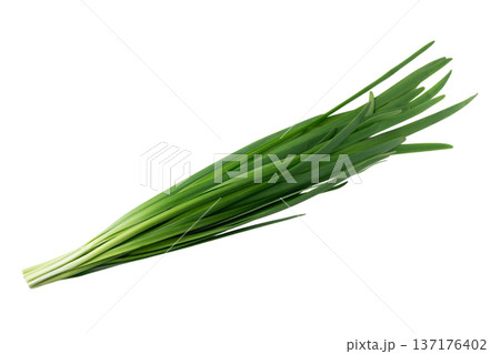 透明背景（png）にニラの束 137176402