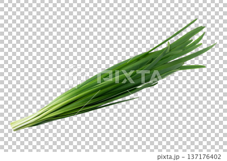 透明背景（png）にニラの束 137176402