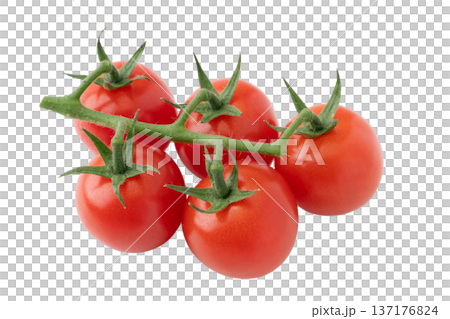 Cherry tomatoes with bunches on a transparent background (png) 137176824