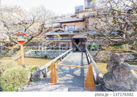 京都・祇園白川と桜 137176882