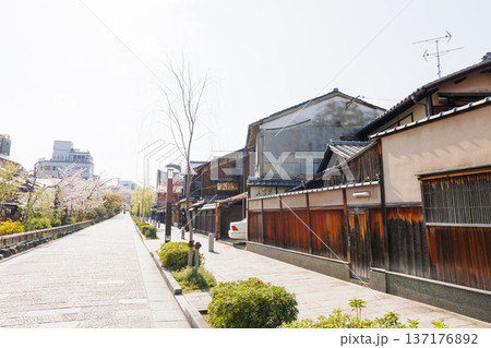京都・祇園白川と桜 137176892