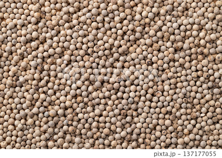 Close up of white peppercorns texture background, essential spices and seasoning for cooking Close up of white peppercorns texture background, essential spices and seasoning for cooking 137177055