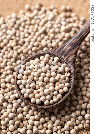 Close up of white peppercorns in a wooden spoon, essential spices and seasoning for cooking 137177058