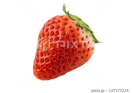 透明背景（png）に1個のイチゴ（とちおとめ） 137177224