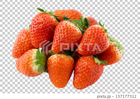 透明背景（png）にたくさんのイチゴ（とちおとめ） 137177312