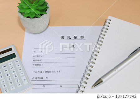 ビジネスイメージ 見積書 書類作成 ビジネスイメージ 見積書 書類作成 137177342
