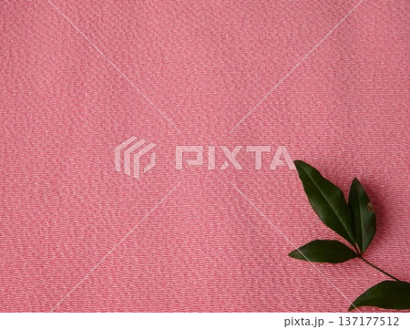 紅色背景　南天の葉 137177512