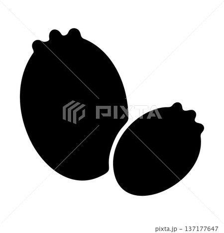 Two black silhouette berries, possibly blueberries or similar small fruit Two black silhouette berries, possibly blueberries or similar small fruit 137177647