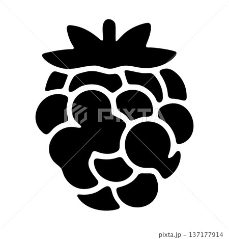 Modern Black Raspberry or Blackberry Icon with Textured Surface Detail 137177914