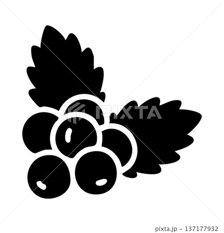 Black Holly Berries or Currants with Leaves Glyph Icon Black Holly Berries or Currants with Leaves Glyph Icon 137177932