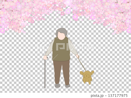 顔無し老人が満開の桜の木の下を犬と散歩しているカラーイラスト 137177975
