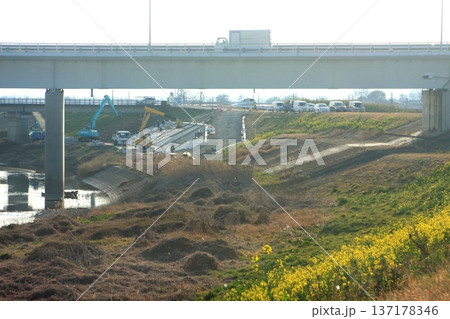 堤防舗装工事 小山川左岸(2022.3.8) 埼玉県深谷市 新明橋の東側 菜の花の黄色が咲き乱れる 137178346
