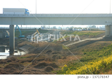 堤防舗装工事 小山川左岸(2022.3.8) 新明橋の東側 菜の花が咲き乱れる穏やかな日差しの中で 137178347