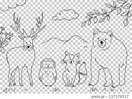 手繪森林動物插圖 137178517