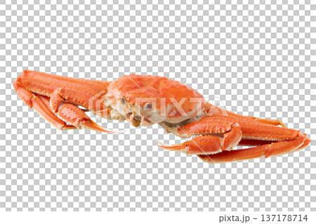 透明背景(png)に1杯のオオズワイガニ 透明背景(png)に1杯のオオズワイガニ 137178714