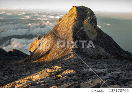 Scenery view of the St.John peak has lit by sunlight during morning on Mt.Kinabalu, Malaysia. Kinabalu is one of the highest mountain in South East Asia. 137178766