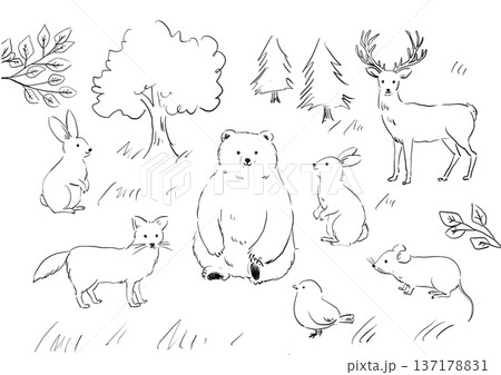 シンプルな手描きの森の動物イラスト シンプルな手描きの森の動物イラスト 137178831