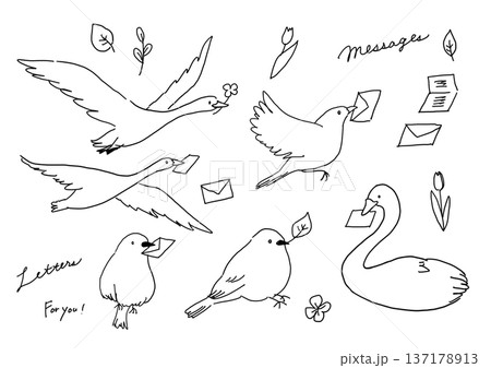 手描きの鳥の線画イラスト 手描きの鳥の線画イラスト 137178913