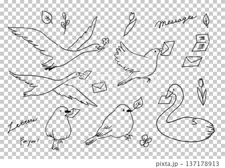 手描きの鳥の線画イラスト 手描きの鳥の線画イラスト 137178913