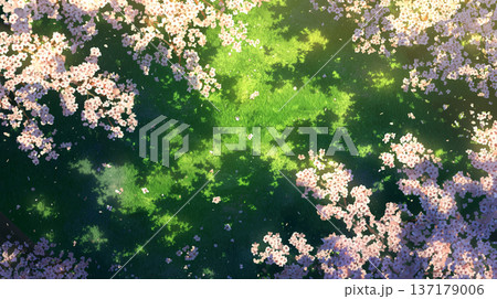 桜の花びらが空を覆う春の絶景。夢の中にいるような優美な構図で、自然の美しさと季節感を引き立てる 桜の花びらが空を覆う春の絶景。夢の中にいるような優美な構図で、自然の美しさと季節感を引き立てる 137179006