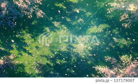 桜の花びらが空を覆う春の絶景。夢の中にいるような優美な構図で、自然の美しさと季節感を引き立てる 137179007