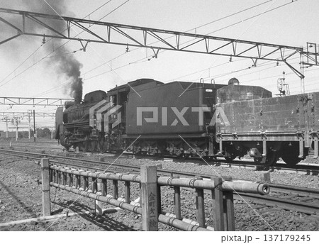 出発待機中のD51牽引の貨物列車 137179245