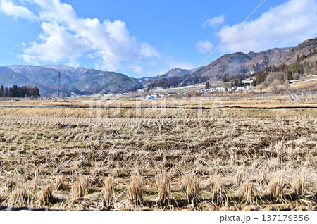 田んぼの稲株のある冬の田園風景 137179356