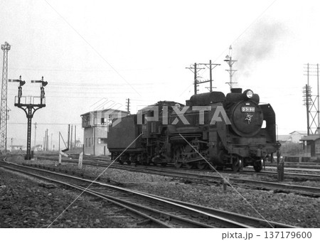 入れ替え作業中のD51 入れ替え作業中のD51 137179600