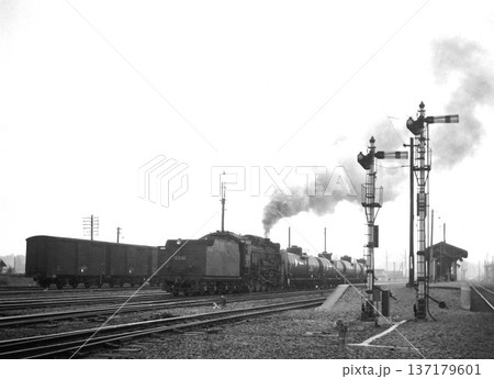 入れ替え作業中のD51 入れ替え作業中のD51 137179601