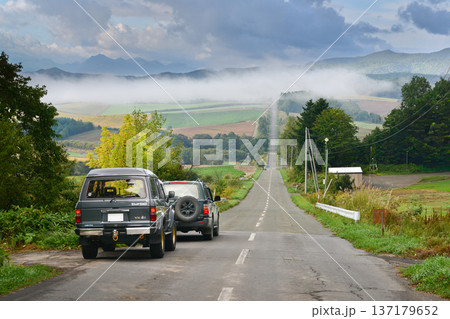 アップダウンの道を走る車 137179652