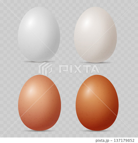 Realistic Chicken Egg Set. Vector White, Beige and Brown Raw Food Collection for Easter or Farm Design. 137179852
