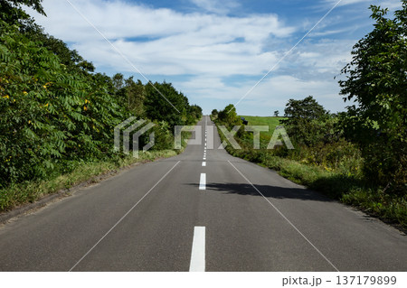 美しい直線道路 137179899