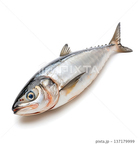 Freshly Caught Fish on White Background Perfect for Culinary and Marine Themed Projects 137179999