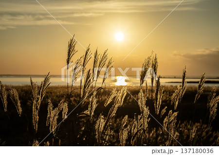 野付湾の夕日 137180036