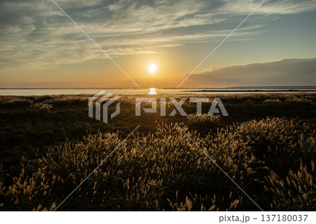 野付湾の夕日 137180037