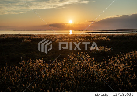 野付湾の夕日 137180039