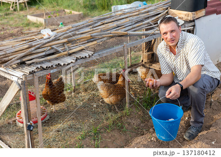 Man farmer taking chickens eggs at chicken-house Man farmer taking chickens eggs at chicken-house 137180412