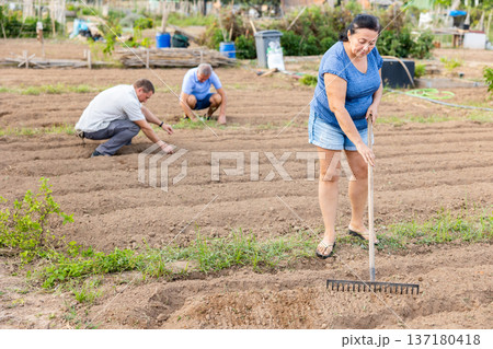 Aged woman raking soil on patch in vegetable garden 137180418