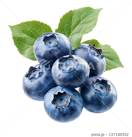 Fresh Blueberries with Green Leaves on White Background for Healthy Lifestyle and Diet Fresh Blueberries with Green Leaves on White Background for Healthy Lifestyle and Diet 137180502