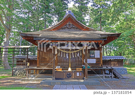 筑摩神社(松本) 筑摩神社(松本) 137181054