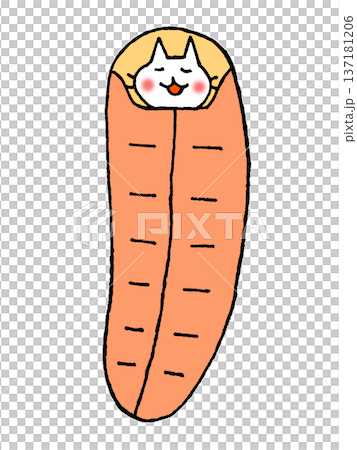 Cute sleeping bag illustration Cute sleeping bag illustration 137181206