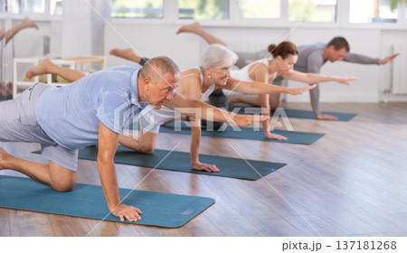 Diligent women and men doing body stretching before yoga class in a fitness studio Diligent women and men doing body stretching before yoga class in a fitness studio 137181268