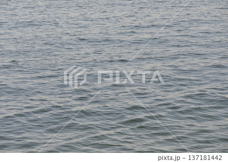 海 海 137181442