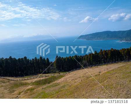 都井岬の風景 137181518