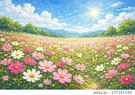 コスモス畑　秋桜　自然風景　砂絵風 137181549