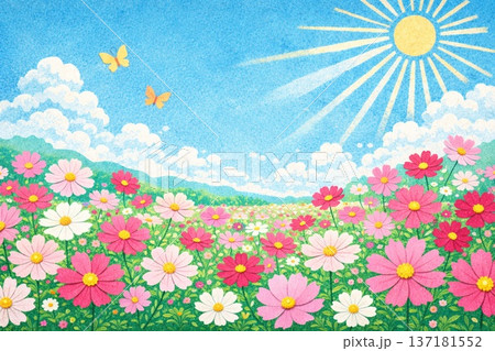 コスモス畑　秋桜　自然風景　貼り絵風 137181552