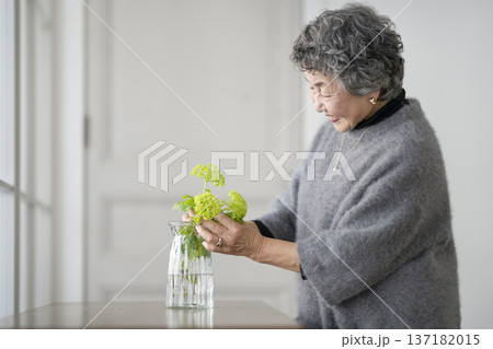 部屋に花を飾るシニア女性 部屋に花を飾るシニア女性 137182015