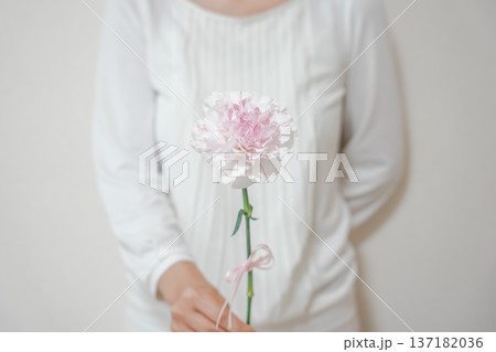一輪のカーネーションを持つ女性 一輪のカーネーションを持つ女性 137182036